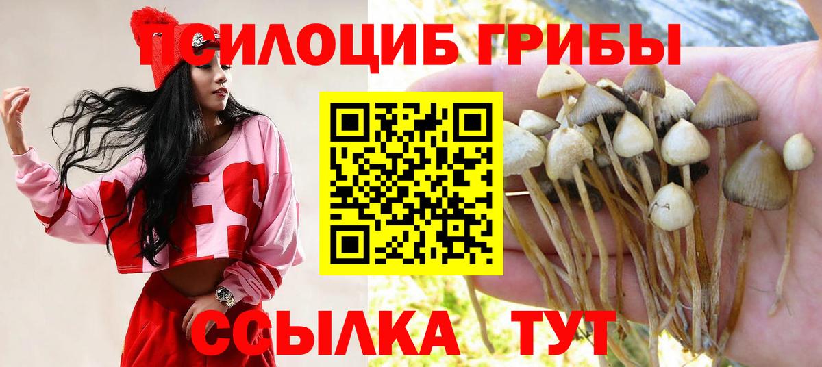 Псилоцибиновые грибы Magic Shrooms  Вход с VPN  Галлюциногенные грибы Psilocybe  Зеленодольск 
